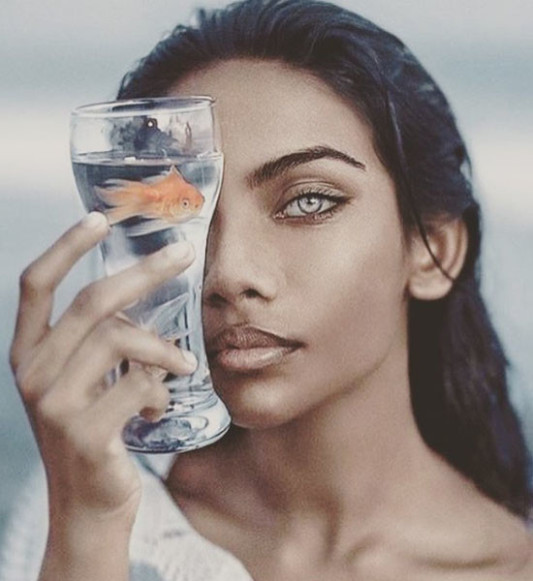 Hindistanlı model Rauda Atif