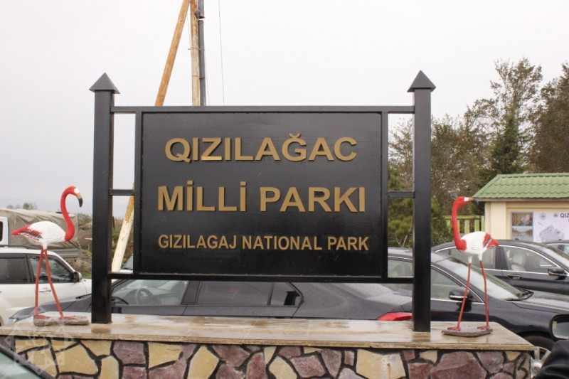 Qızılağac Milli Parkında qanunsuz ov edən şəxs saxlanılıb