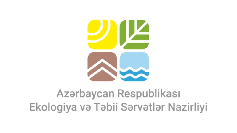 Bakıda ağacəkmə aksiyası keçirilib