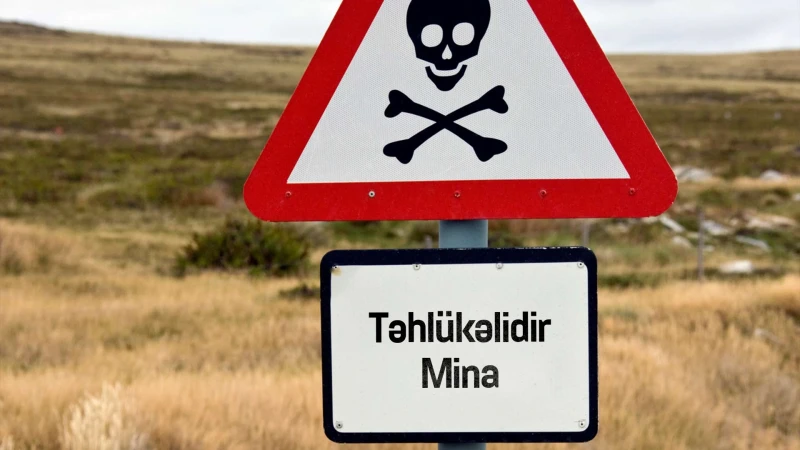 DİN: Saxta COVID-19 pasportu alanlar istintaqa cəlb olunacaqlar