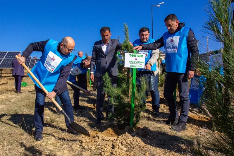 Zəfər Günü münasibətilə Energetika Nazirliyi ağacəkmə aksiyası keçirib