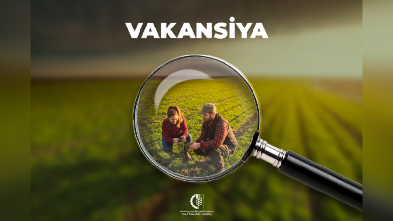İşsiz şəxslərin nəzərinə: Kənd Təsərrüfatı Nazirliyində 308 vakansiya var