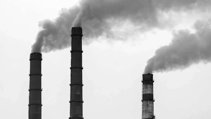 Turkovac yaxın zamanlarda Azərbaycana çatdırılacaq