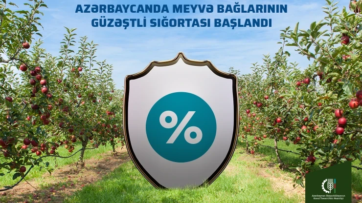 Azərbaycanda aqrar sığortanın əhatə etdiyi məhsulların sırası genişləndirilib