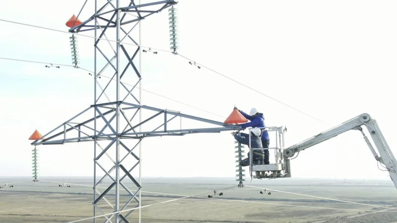 Quşların elektrik xətlərindən qorunması üçün layihəyə start verilib