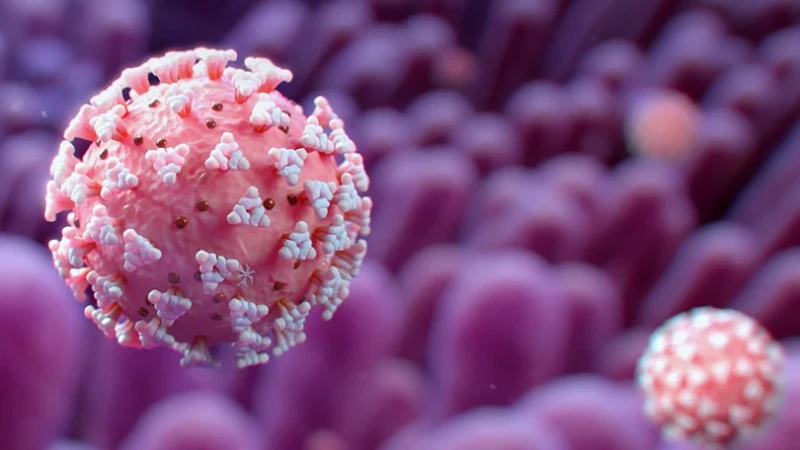 Omicron ştamına yoluxanların vəziyyəti məlum olub