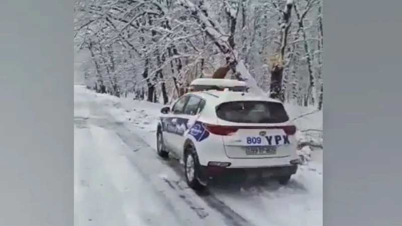 Qar ölkənin bu yollarında çətinliklər yaradıb