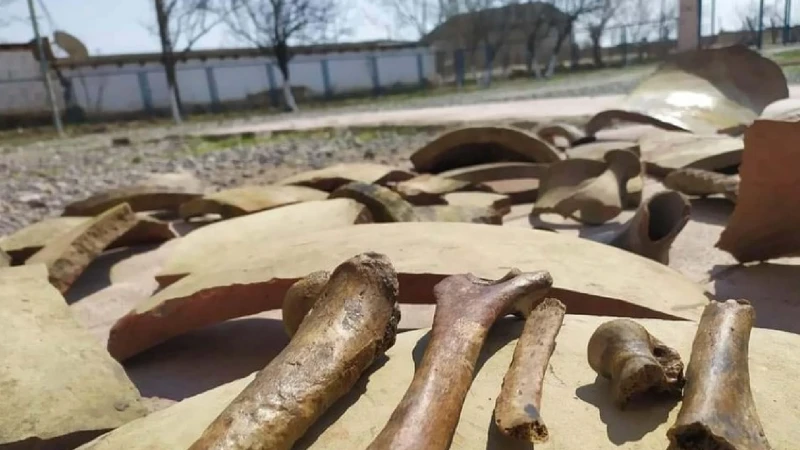 Neftçalada yaşı eramızdan 2800 il əvvələ aid edilən küp qəbir tapılıb