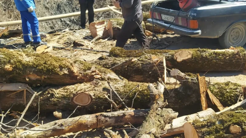 Oğuzda küləyə görə elektrik enerjisi və qaz yoxdur
