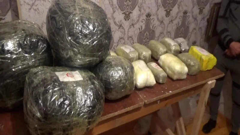 104 kiloqram narkotik yeraltı anbarlarda aşkar edilib, 38 nəfər saxlanılıb