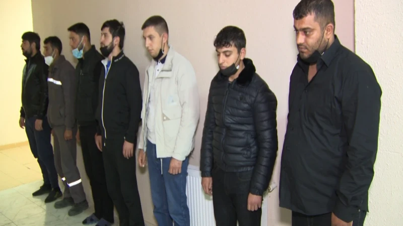 Abşeronda ət kombinatından 80 ton ət oğurlayan şəxslər saxlanılıb