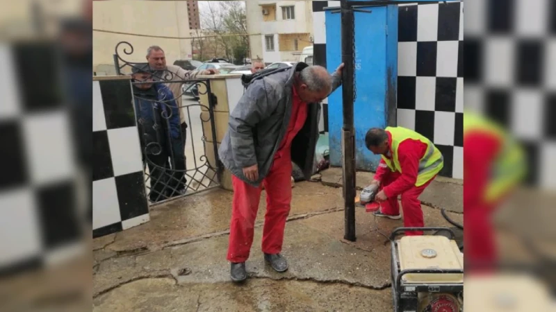 Bakıda qanunsuz heyvan kəsimi məntəqələri aşkarlanıb