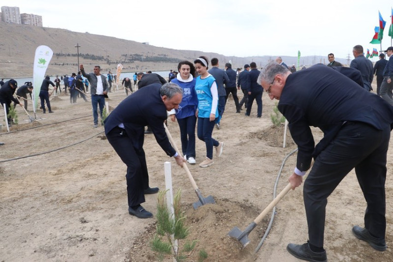 Bakıda Baş Prokurorluq tərəfindən ağacəkmə aksiyası keçirilib