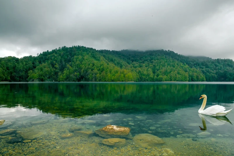 Göygölü ziyarət etmək üçün 5 səbəb