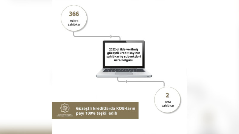Cari ildə 13,3 milyon manat güzəştli kredit verilib