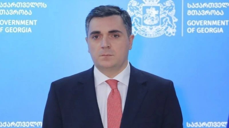 Gürcüstanın yeni XİN başçısı Azərbaycana gəlir