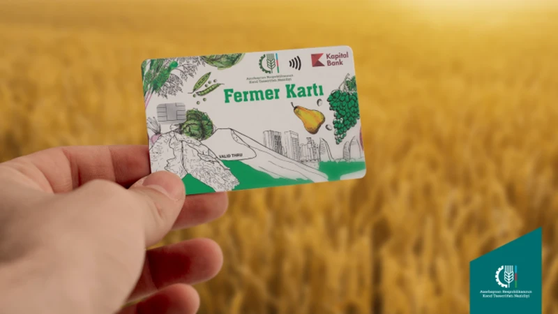 Payızlıq əkinlərə görə fermerlərə 173 milyon manatdan çox subsidiya ödənilib