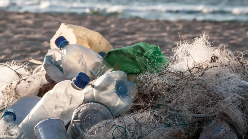 Azərbaycanda plastik tullantılarla mübarizə üçün yeni layihəyə start verilib