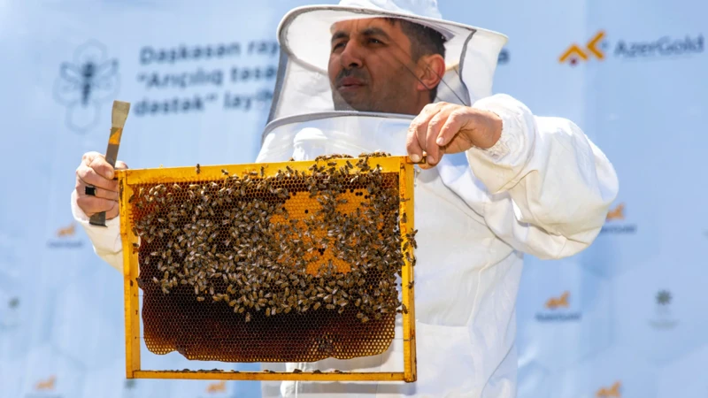 Daşkəsən rayonunda arıçı fermerlərə təlimlər keçirilib