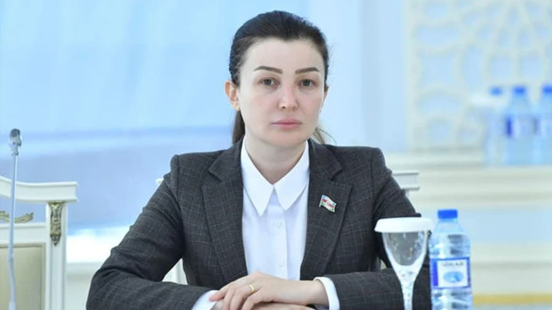 Milli Məclisin deputatı bir vəzifəsindən istefa verib