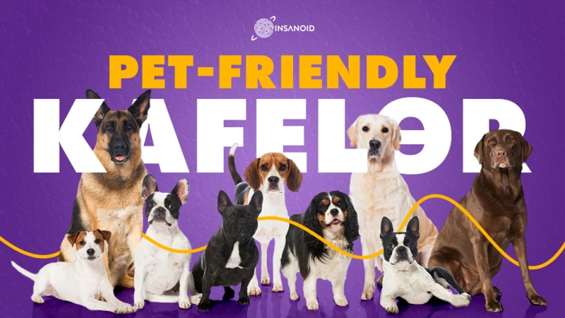 Bakıda pet-friendly kafelər: “dördayaqlı dostlar”ımızla hara gedək