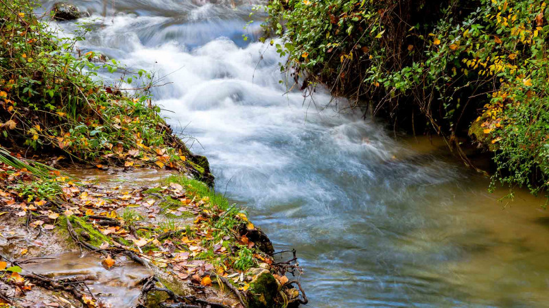 18 yaşlı məzun istirahətdə olarkən çayda boğulub