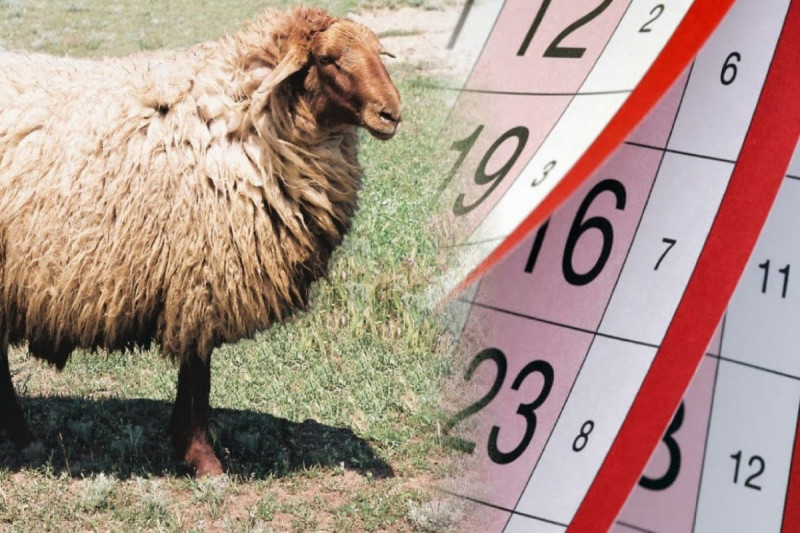 Gələn ay ardıcıl 4 gün iş olmayacaq