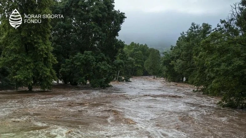 Aqrar Sığorta Fondu qeyri-sabit hava şəraiti ilə bağlı fermerlərə müraciət edib