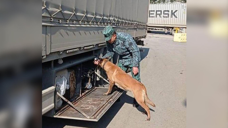 DSX: keçən ay sərhəddə 300 min manatlıq qaçaqmal saxlanılıb