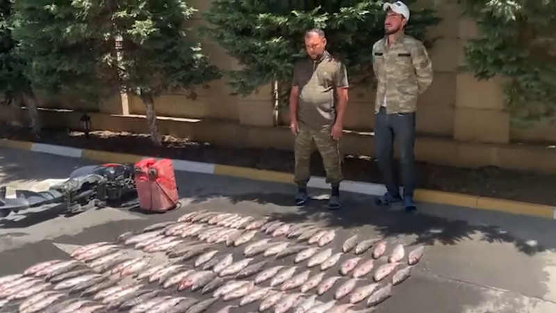 Bakıda körpə balıqları ovlayan şəxslər saxlanılıb