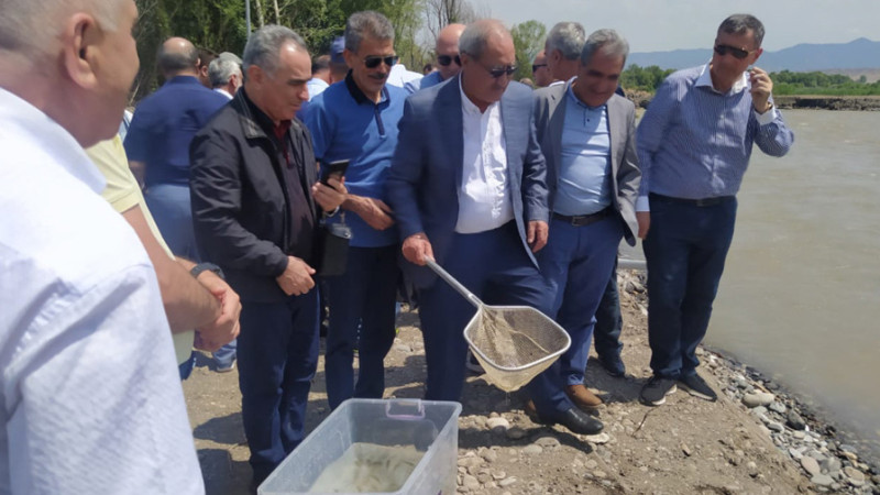 Həkəri çayına balıqlar buraxılıb