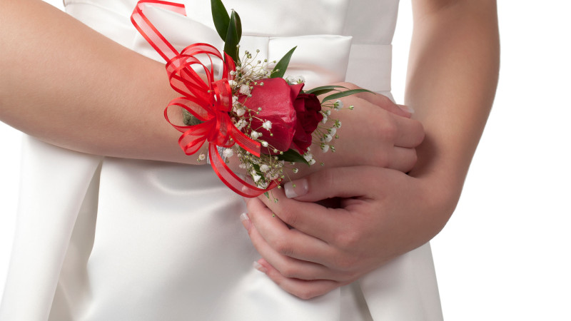 Daha bir erkən nikah hadisəsi: Sabirabadda 15 yaşlı qız evləndirilir