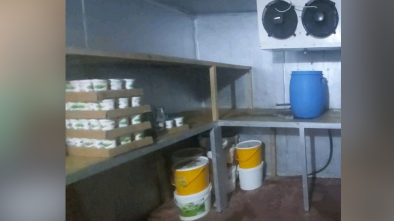 Bakıda süd məhsullarının istehsalı müəssisəsi nöqsanlara görə bağlanıb