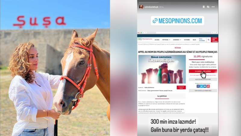 Şair Zəhra Bədəlbəyli azərbaycanlıların Fransaya ünvanladığı petisiyanı dəstəkləyib
