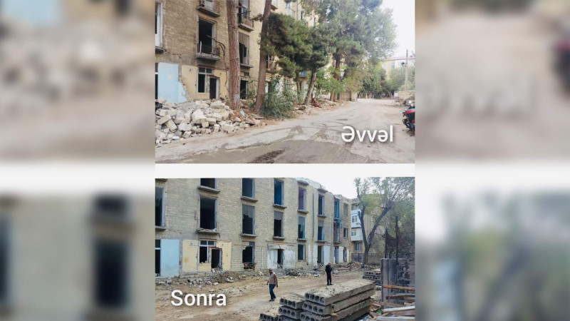 Sumqayıtda ağacları qanunsuz kəsən tikinti şirkəti aşkarlanıb