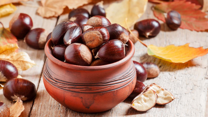 Zaqatala sakinləri şabalıd ağaclarının qurumasından narahatdırlar