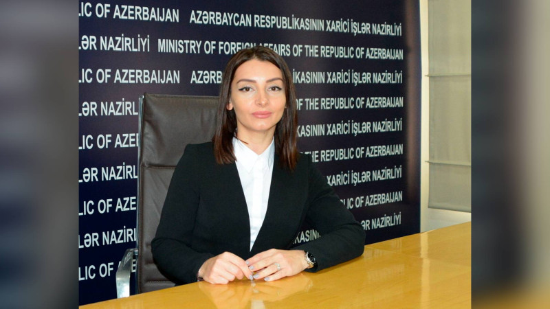 Leyla Abdullayeva Azərbaycanın Fransadakı səfiri vəzifəsinə təyin edilib