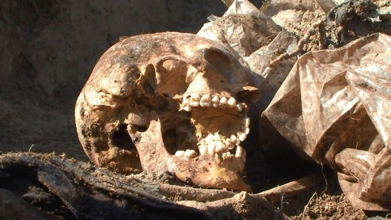 İtkin düşənlərə məxsus olması ehtimal olunan 450-dən artıq meyit qalıqları ekshumasiya edilib