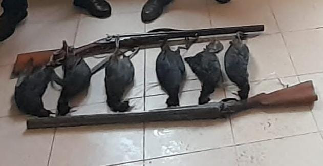 Şabranda qanunsuz ov edən şəxslər saxlanılıblar