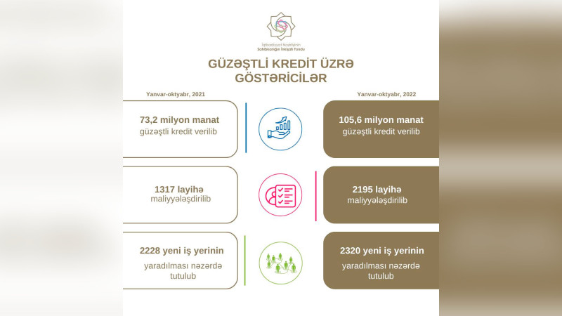 SİF: 10 ayda 106 milyon manat kredit verilib
