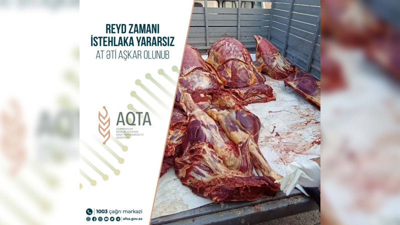 AQTA: İsmayıllıda 300 kiloqram at əti aşkar olunub