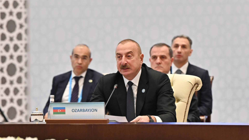 Azərbaycandan kənarda yaşayan 40 milyon azərbaycanlının əksəriyyəti öz ana dilində təhsil almaq imkanından məhrumdur
