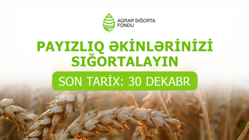 Fermerlərə müraciət: Payızlıq əkinlərinizi dekabrın 30-dək sığortalayın