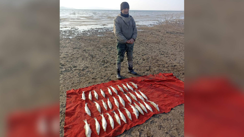 Mingəçevirdə qanunsuz balıq ovu ilə məşğul olan şəxs saxlanılıb
