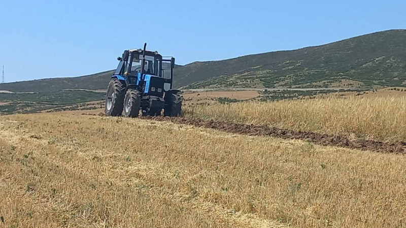 Kənd təsərrüfatı məhsullarının istehsalı ilə məşğul olan şəxslərə verilən subsidiyalar gəlir vergisindən azad edilib