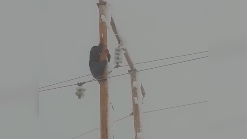 Ölkənin 5 rayonunda elektrik verilişində fasilələr yaranıb