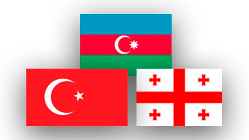 Müdafiə naziri Türkiyəyə səfər edib