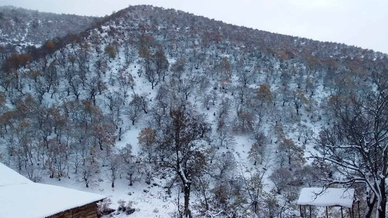 Hava kəskin dəyişəcək, qar yağacaq, şaxta olacaq