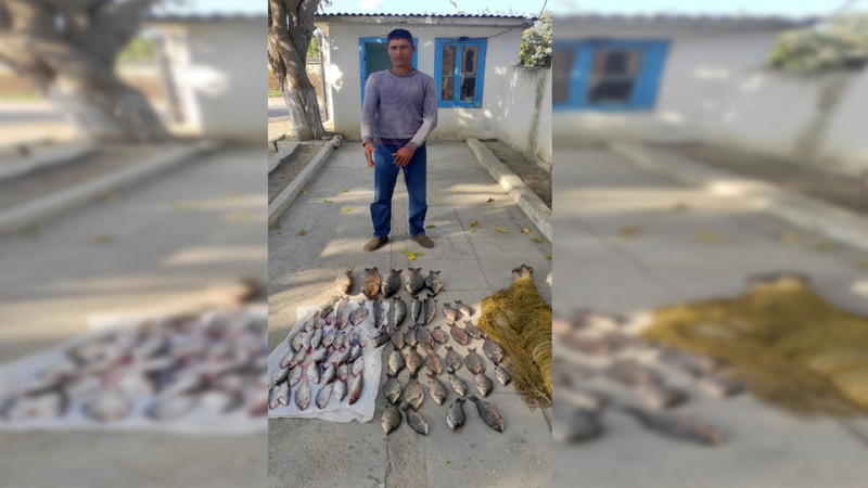 Neftçalada brakonyerliklə məşğul olan şəxs ələ keçib