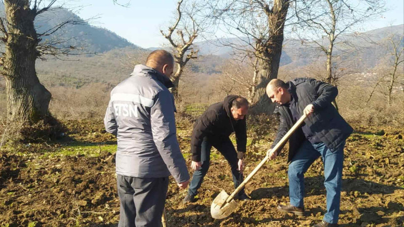 Bayram günlərində meşə fondu torpaqlarında 25 000 ağac əkilib
